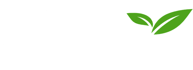 The Mayfield Clinic